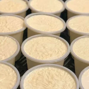 ماست محلی تازه – ۱ کیلویی | شهر زیتون